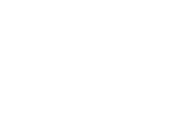 Lone River